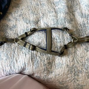 Dog harness